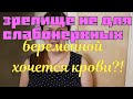 деревенский дневник очень многодетной мамы/ зрелище не для слабонервных