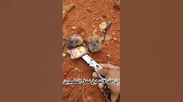 قال موسى ما جئتم به السحر ان الله سيبطله سحر قرآن اكسبلور تصميمي لايك Shortsvideo Shorts 