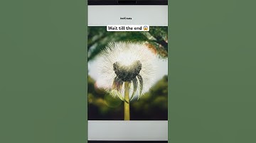 Full tutorial on my patreon #procreate