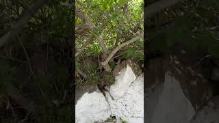 Lavadero de Aldea de Don Pedro