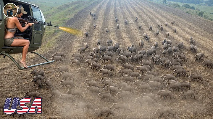 LIVE: How Millions of Wild Hogs, Foxes and Elephants Are Controlled by Hunters | Invasive Species