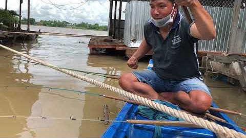 [CÂU TÔM] - DÍNH CON TÔM KIỂU ĐỘC VÀ LẠ - TRÊN SÔNG QUÊ TÔI