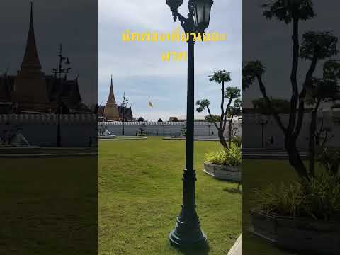 ผลสลากกินแบ่งรัฐบาล วันที่ 1 พย. 2567