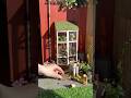 Разбираю диораму «Теплица» #diorama #asmr #diy #miniature #minigarden #diygarden #garden #craft