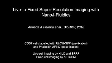 Live-to-Fix Super-Resolution Imaging with NanoJ-Fluidics