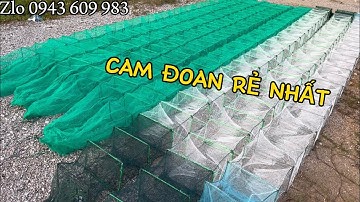 Lh số này 0865 692 498. CAM KẾT GIÁ RẺ NHẤT,CHẤT ĐẸP, LƯỚI BÁT QUÁI BẮT TÔM, TÉP, CÁ..