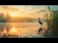 Peaceful Background Instrumental Music and Summer Nature Scenic Relaxation Video