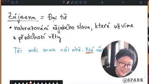 Tiếng Séc - Đại từ