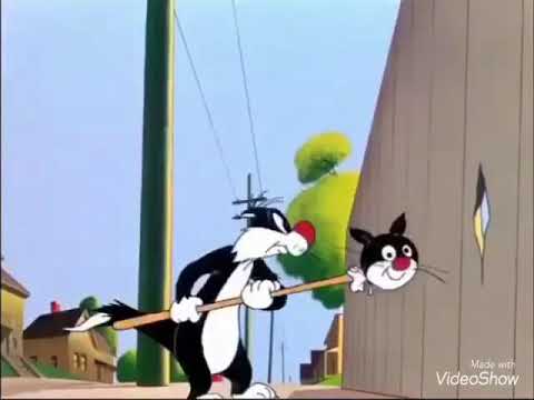 فقرة الفيديو يحاول القط سيلفستر الإمساك بالطائر تويتي مترجم باللغة العربية