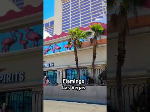 Flamingo Hotel & Casino | Las Vegas #flamingo #casino #hotel #lasvegas #lasvegasstriphotels