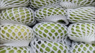 MULCH FILM & FOAM NET Manufacturer