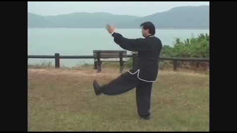 Wu Style 108 Traditional Standard Hand Form