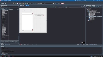 Aplicativo Delphi feito com Firemonkey rodando no Linux Ubuntu Desktop 18.04