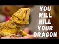 Don't Feed Mealworms To Dragons!