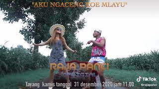 Aku Ngaceng Kowe Mlayu - Raja Panci ft Mala Agatha - tayang kamis 31 desember 2020