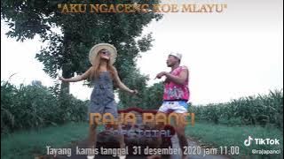 Aku Ngaceng Kowe Mlayu - Raja Panci ft Mala Agatha - tayang kamis 31 desember 2020