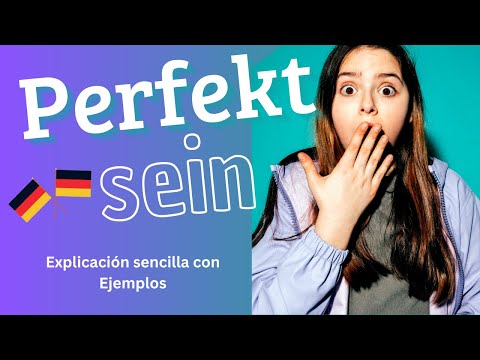 El Perfekt con SEIN explicado fácil