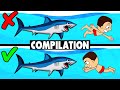 All about survival in water. Drowning, shark attack, survive at sea and other. Compilation
