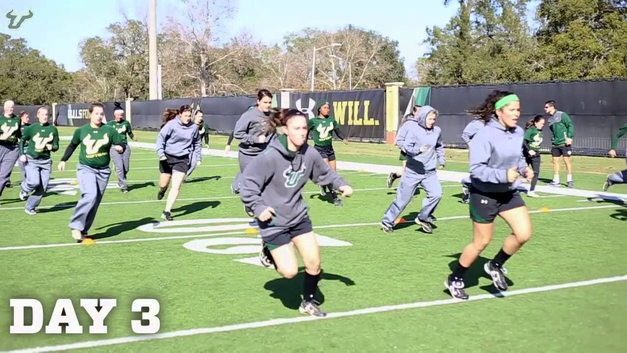 USF Softball: 24 Days 'til Opening Days