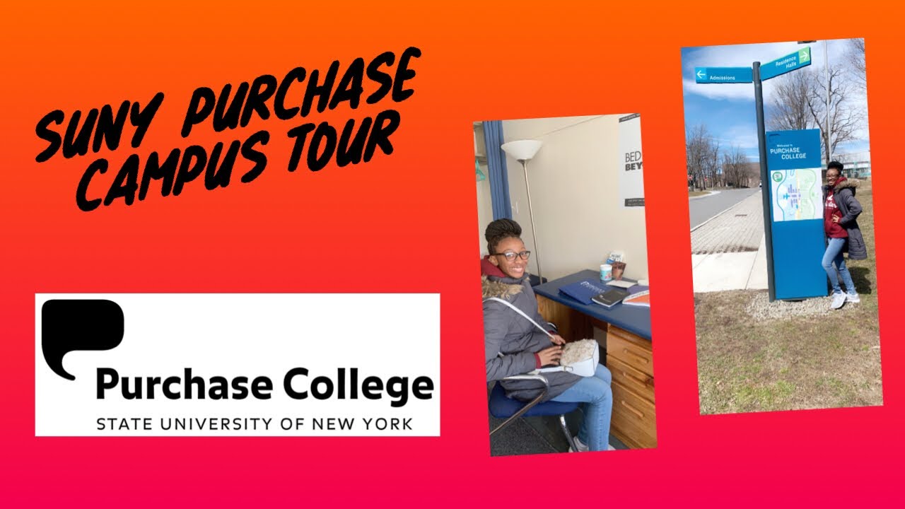 suny purchase tour