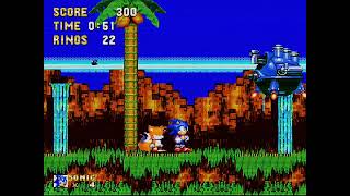 burning_hedgehog.mp4 [STH/VHS]