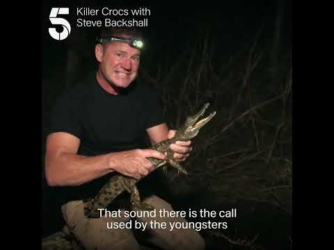 Crocs - surprisingly talkative