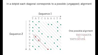 Global Sequence Alignment: Dynamic Programming