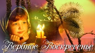 ❤Вербное Воскресенье. Поздравление с Вербным Воскресеньем ♫♥♫ь