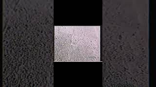 Edit Vhs Половину Видео Брал У Автора