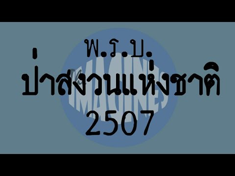 วีดีโอ: ป่าสงวนแห่งชาติภูเขาขาว: คู่มือฉบับสมบูรณ์