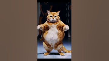 Jedag jedug kucing oyen #cat #catlover #catlovers #catvideos #catshorts #kucing #funny