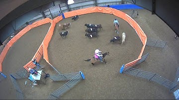 Big Sky Ranch Sorting Saddle Series #3 - #7 Sort - Round #1 - Ride #38