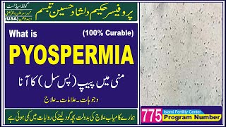 What is PYOSPERMIA in Urdu Hindi and Treatment / پیس سیل بیکٹریا اور انفیکش screenshot 3