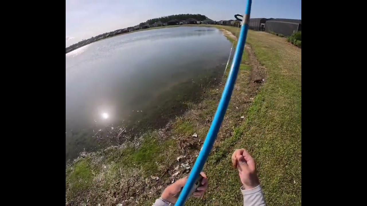 Daytona Beach Bass Fishing 05/02/25