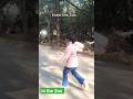 zoo kids youtube video #kidsvideos #dance #anvikamansavi #cute #nature