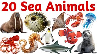 20 Sea Animals for Kids | Learn Ocean Animal Names in English with Sounds and Pictures | Marine Life