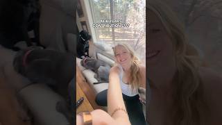 New Years Contributions???