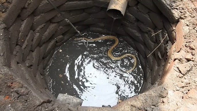 बाथरूम में खौफनाक मंजर नागिन के फुक से लोग परेशान Snake Rescue Team Panchet Dam - YouTube