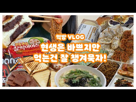 [#40 디쭈의 먹방 브이로그] 🎵현생은 바쁘지만 먹는건 잘 챙겨묵자!🎶
