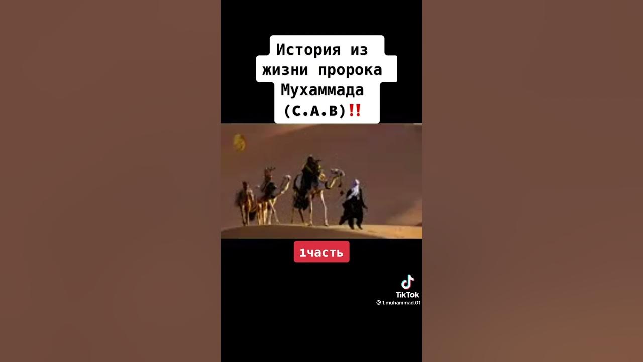 Какой пророк был царем. Короткие истории из жизни пророков.