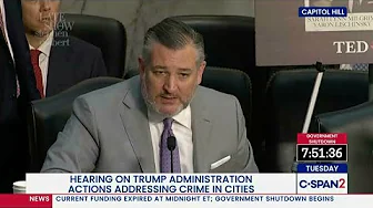 Sen. Ted Cruz: Stop Attacking Pedophiles