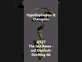 NEUE Hypsi und Ovi Animationen - DevBlog 66 - The Isle News - auf DEUTSCH #theisle