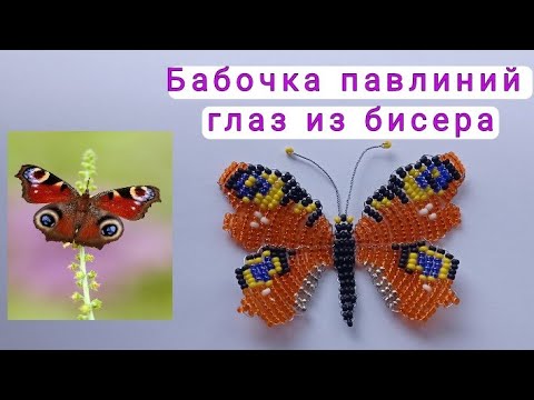 Бабочка из бисера схема павлиний глаз