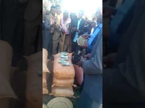 Iftuu MOhammed MOhammed