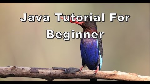 Java Tutorial For Beginner part 3