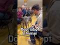 🐕💞 Shelter dogs adopt a human—and the bond is instant! #dog
