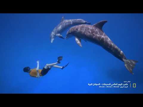 السواحل البرية| يوم المحيطات العالمي| ناشونال جيوغرافيك أبوظبي
