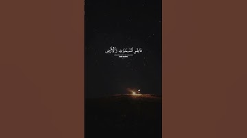 #quran #اكسبلور #تلاوة_خاشعة #لايك #المصحف #حالات_واتس #راحة_نفسية