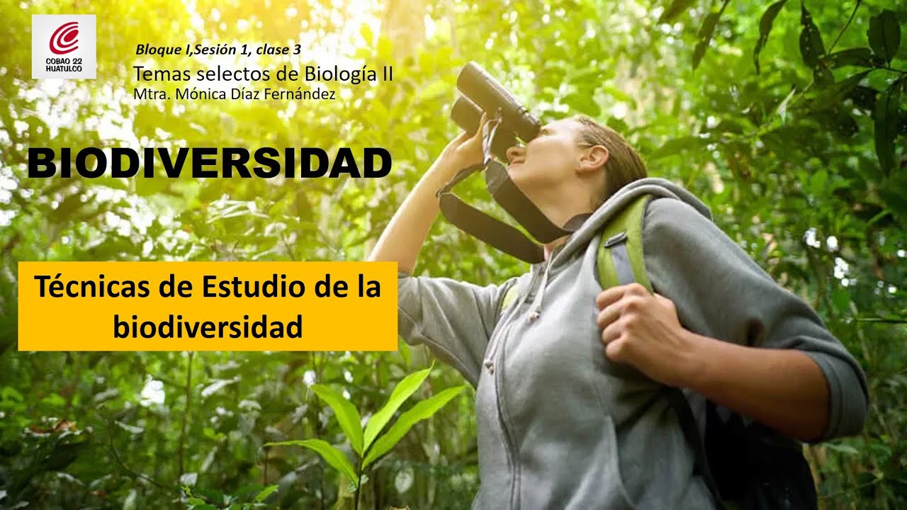 Técnicas de Estudio de la Biodiversidad - YouTube