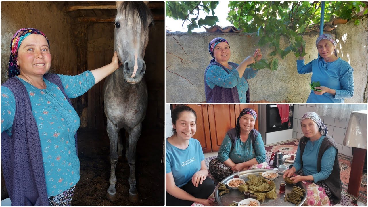 SEBAHAT ABLAMIN ÇİFTLİĞİ❗ DALINDAN TAPTAZE YAPRAK TOPLADIK👍 HEM SARDIK HEM YEDİK 💯